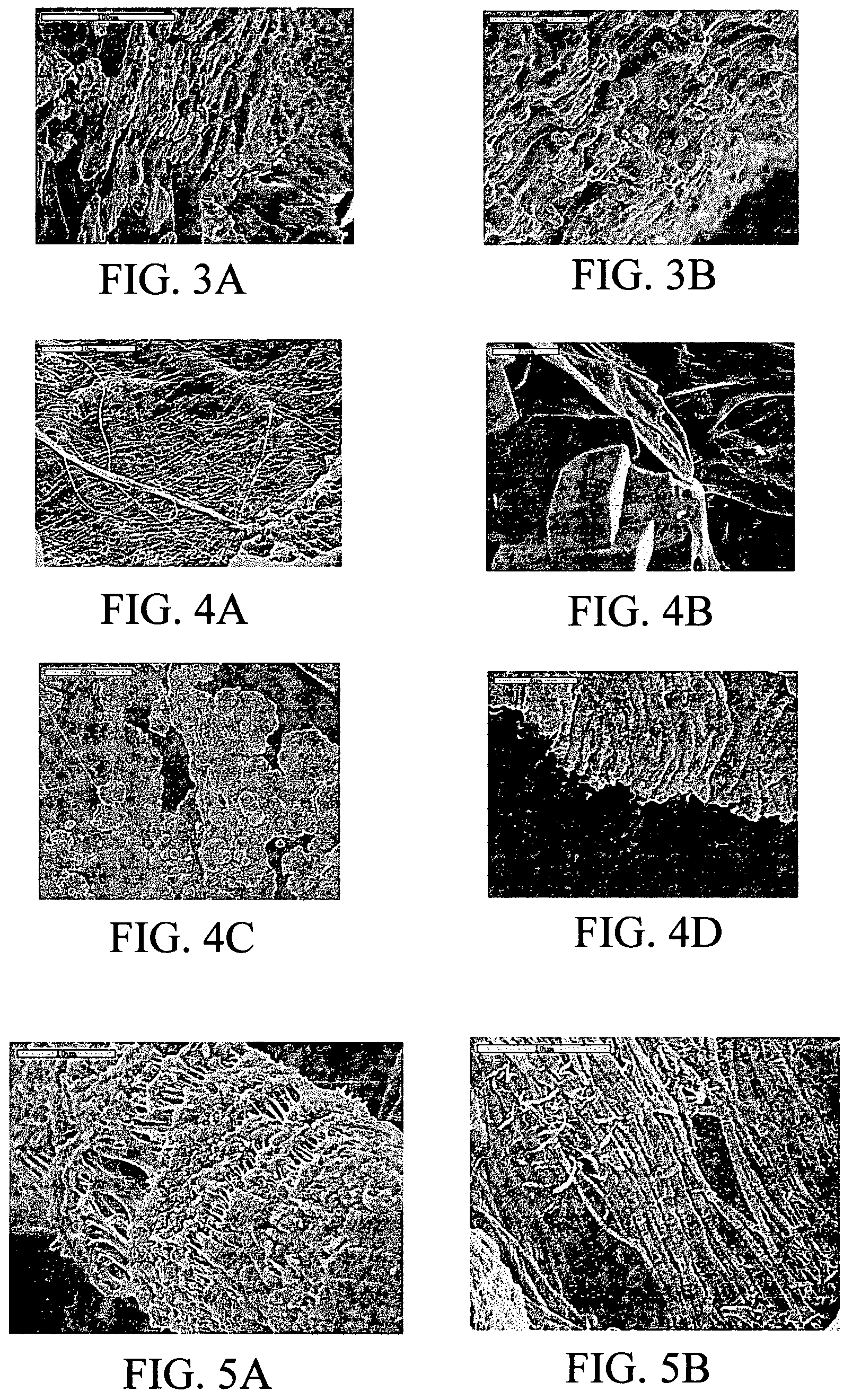 Biomimetic organic/inorganic composites