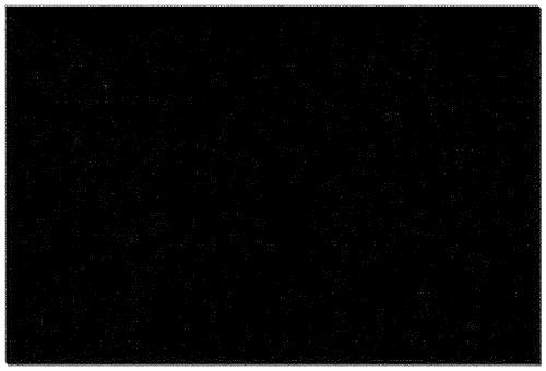 Connection structure and anisotropic conductive adhesive