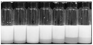 Profile control and displacement system and oil displacement method suitable for carbonate weathered crust reservoir