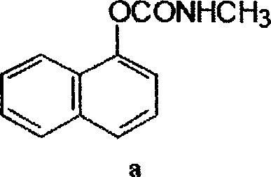 Pesticide sevin artificial antigen and antibody and preparation method and application thereof