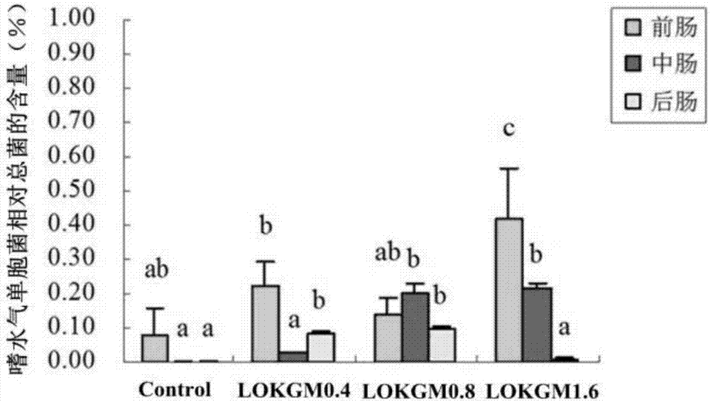 Preparation method of low-molecular weight oxidized konjac glucomannan, fish feed prepared from low-molecular weight oxidized konjac glucomannan, and feeding method of fish feed