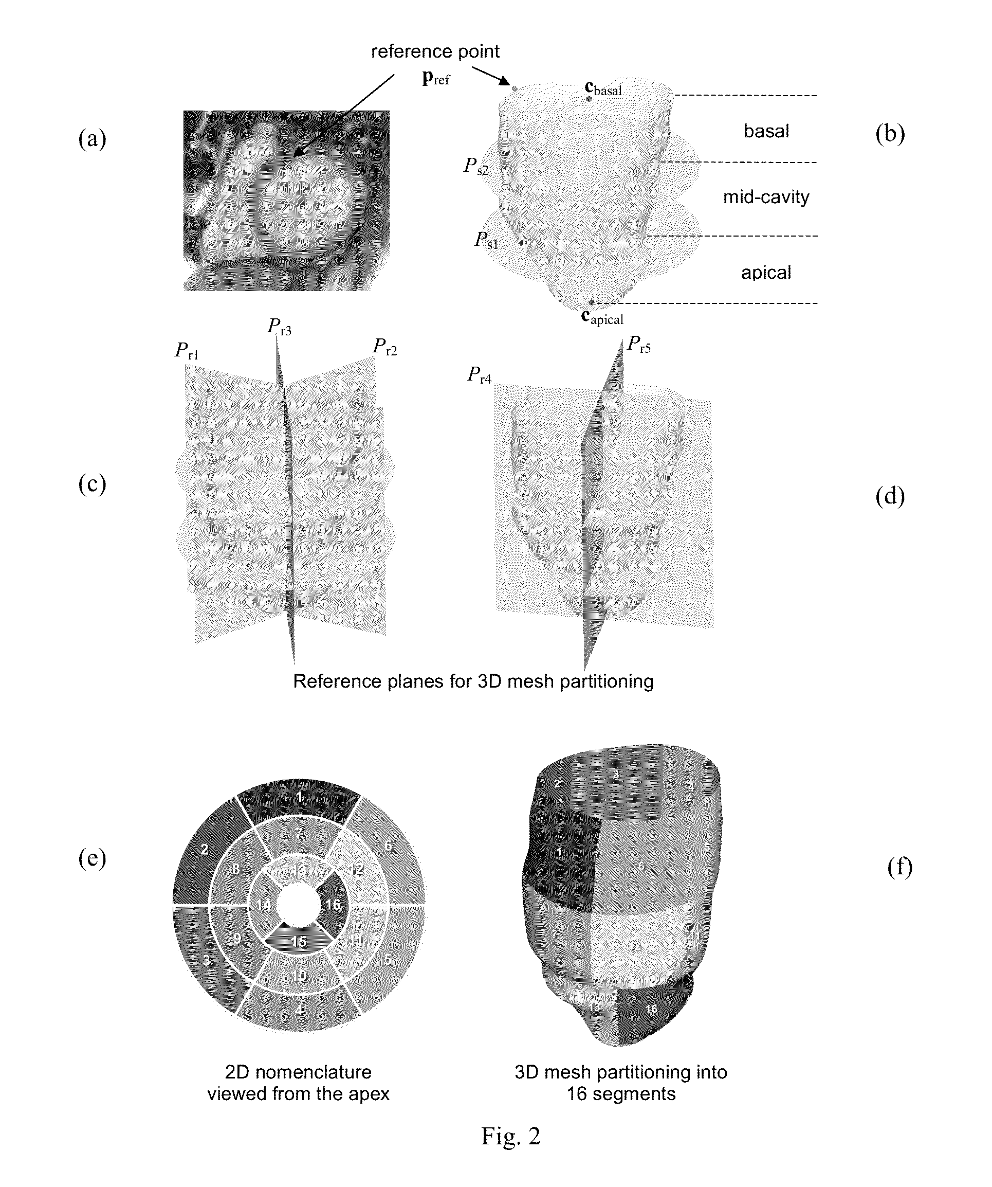 Quantifying curvature of biological structures from imaging data