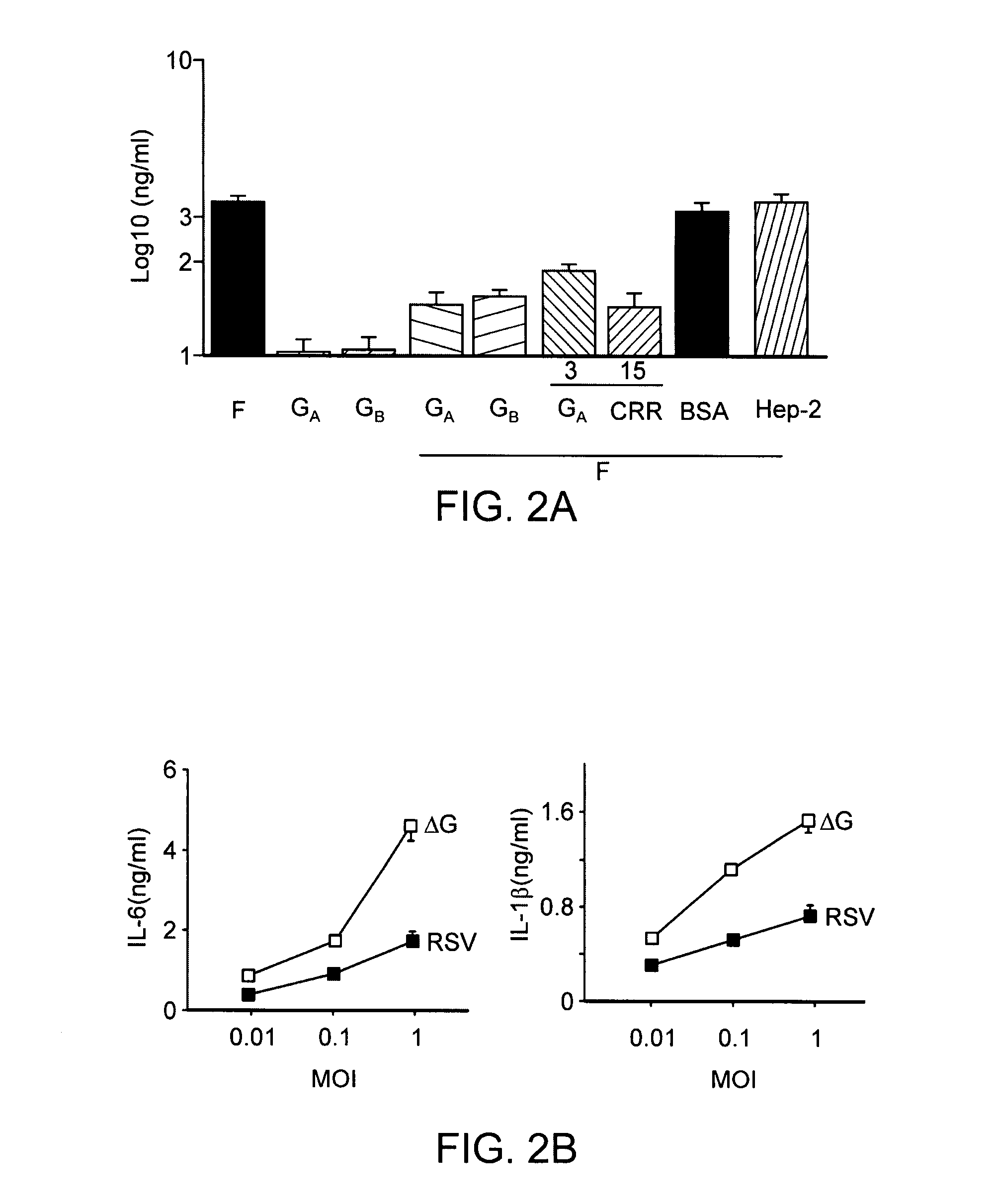 Cysteine-rich region of respiratory syncytial virus and methods of use therefor