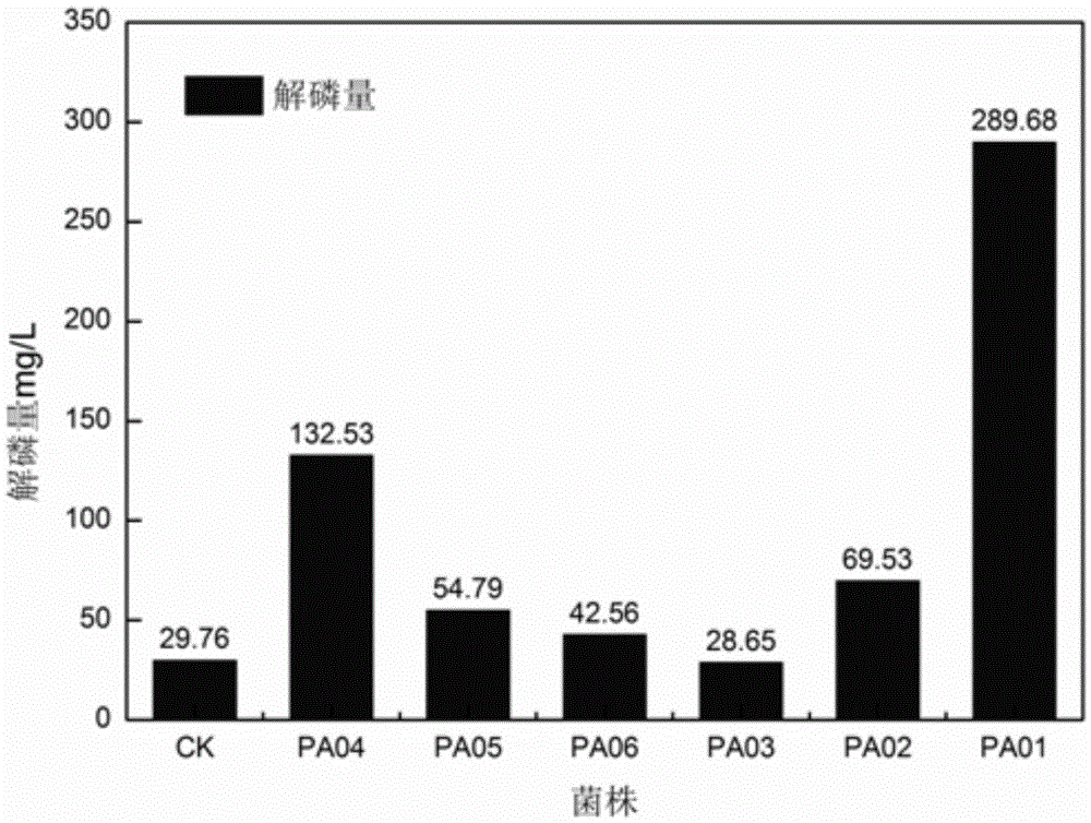 Penicillium janthinellum for decomposing hard-soluble aluminum phosphate in acid soil and application thereof