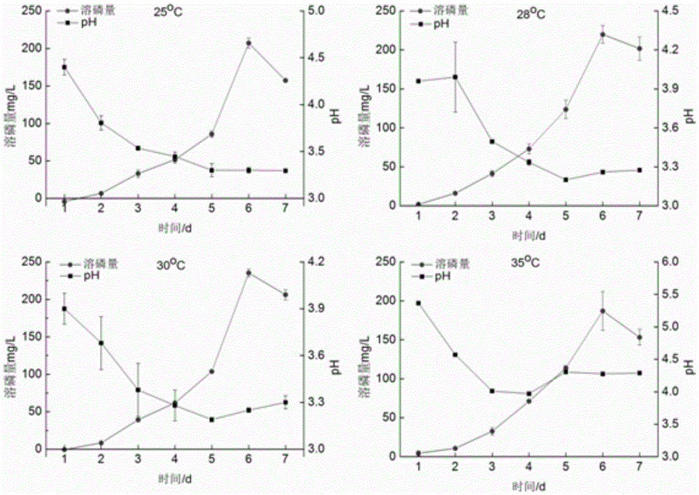 Penicillium janthinellum for decomposing hard-soluble aluminum phosphate in acid soil and application thereof