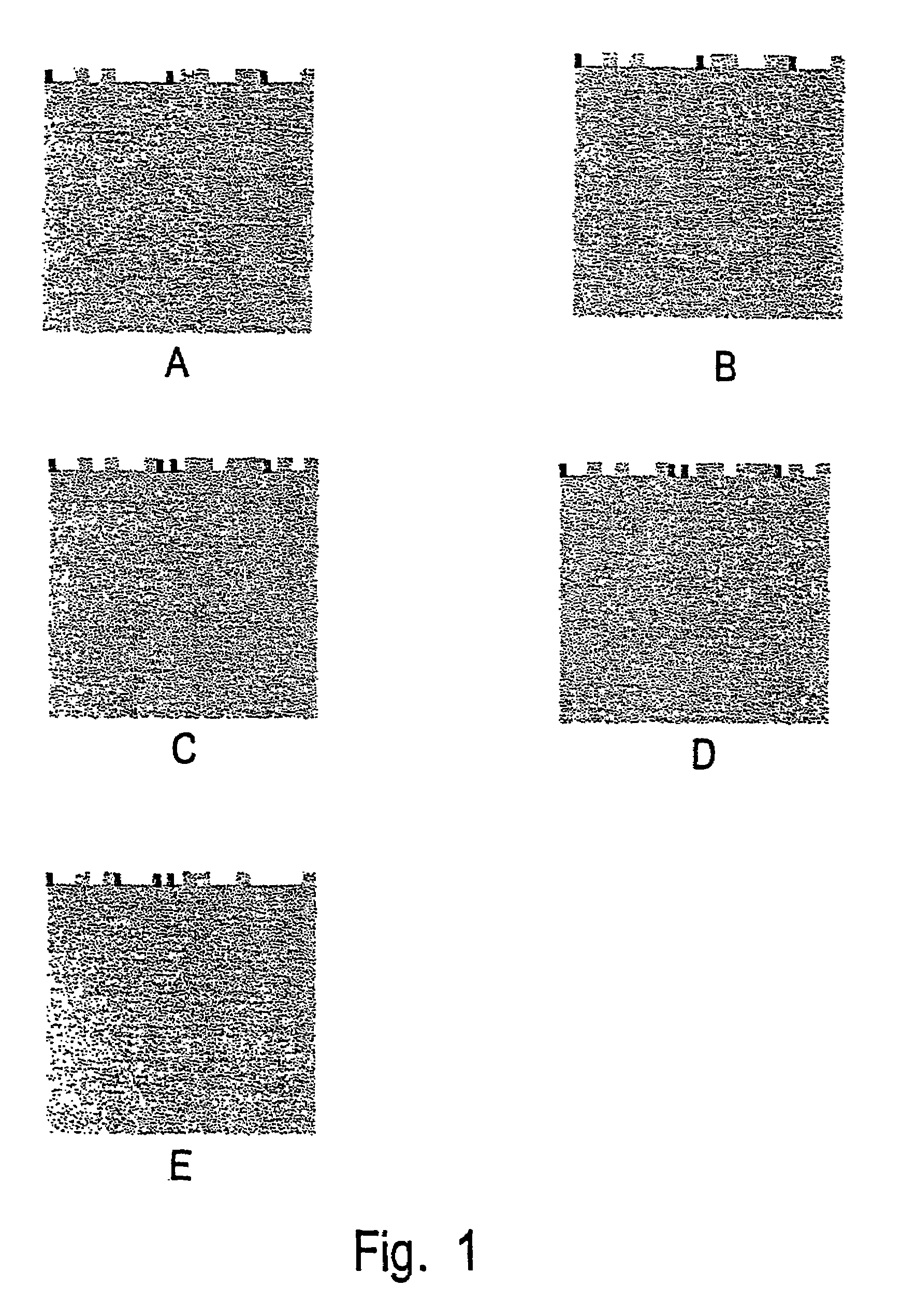 Polysaccharide structure and sequence determination