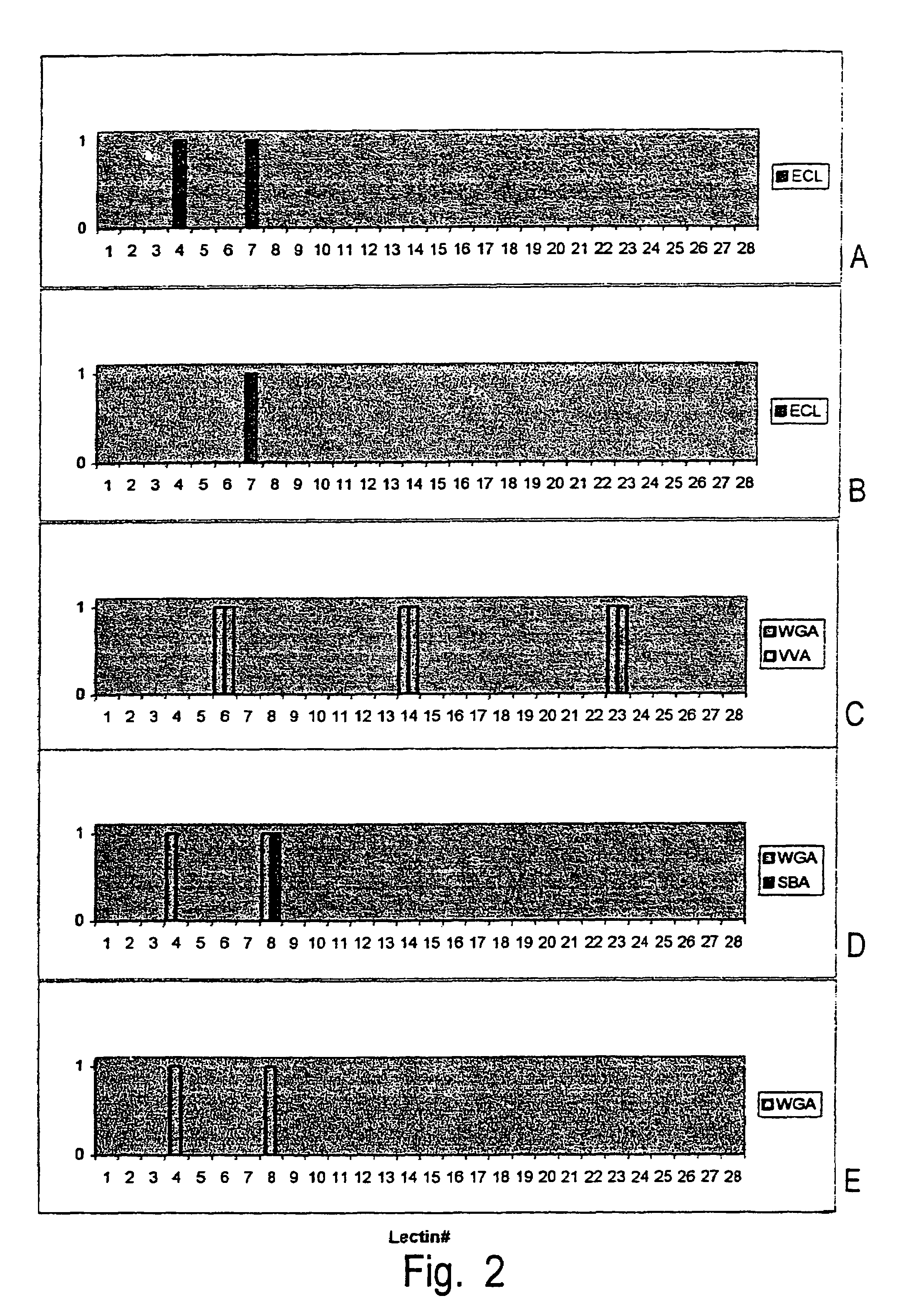 Polysaccharide structure and sequence determination