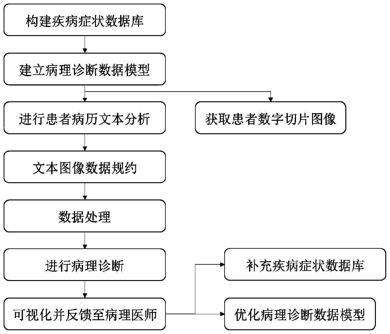 Pathological diagnosis method based on data analysis