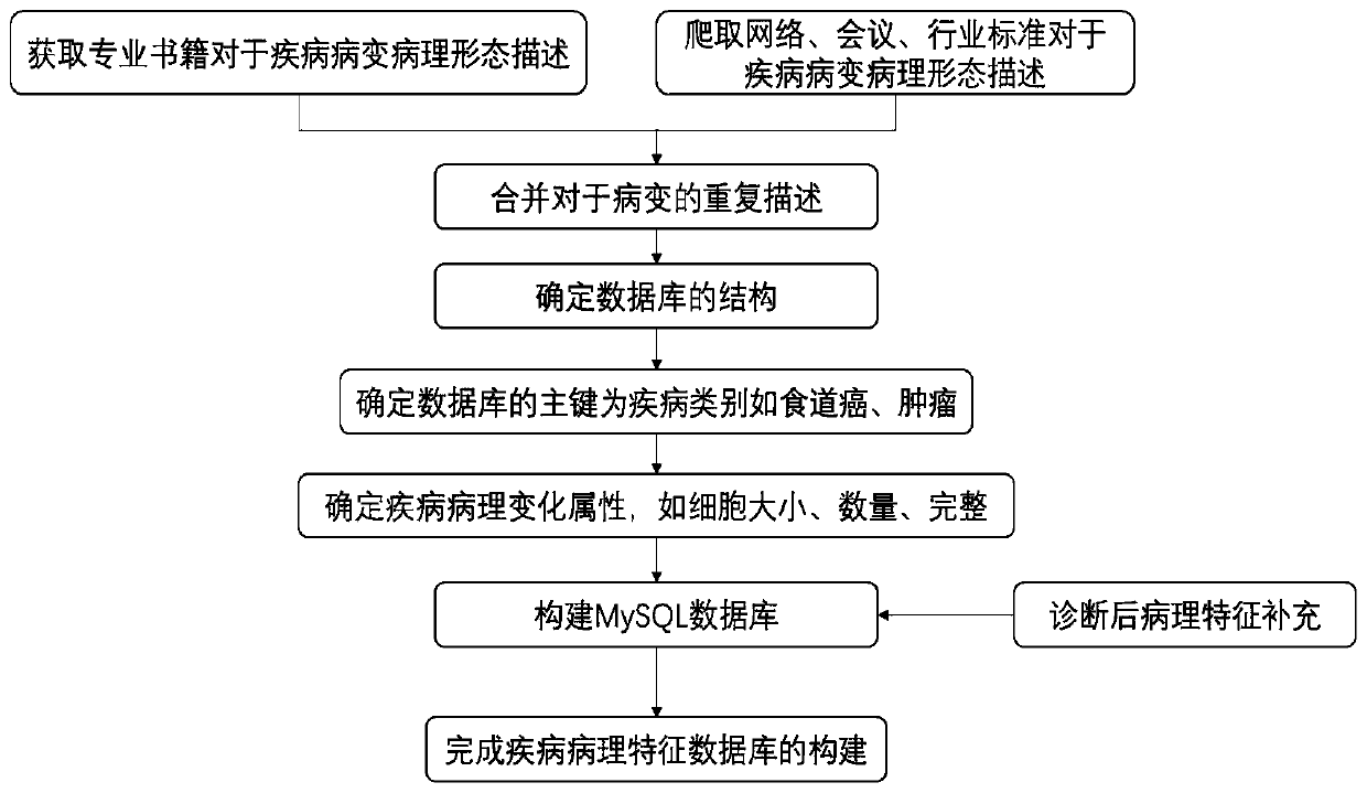 Pathological diagnosis method based on data analysis