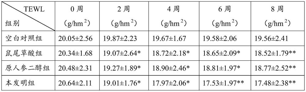 Anti-skin photoaging composition and application thereof