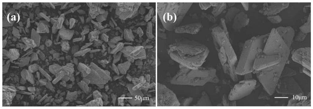 Geopolymer curing material based on manganese tailings and preparation method of geopolymer curing material