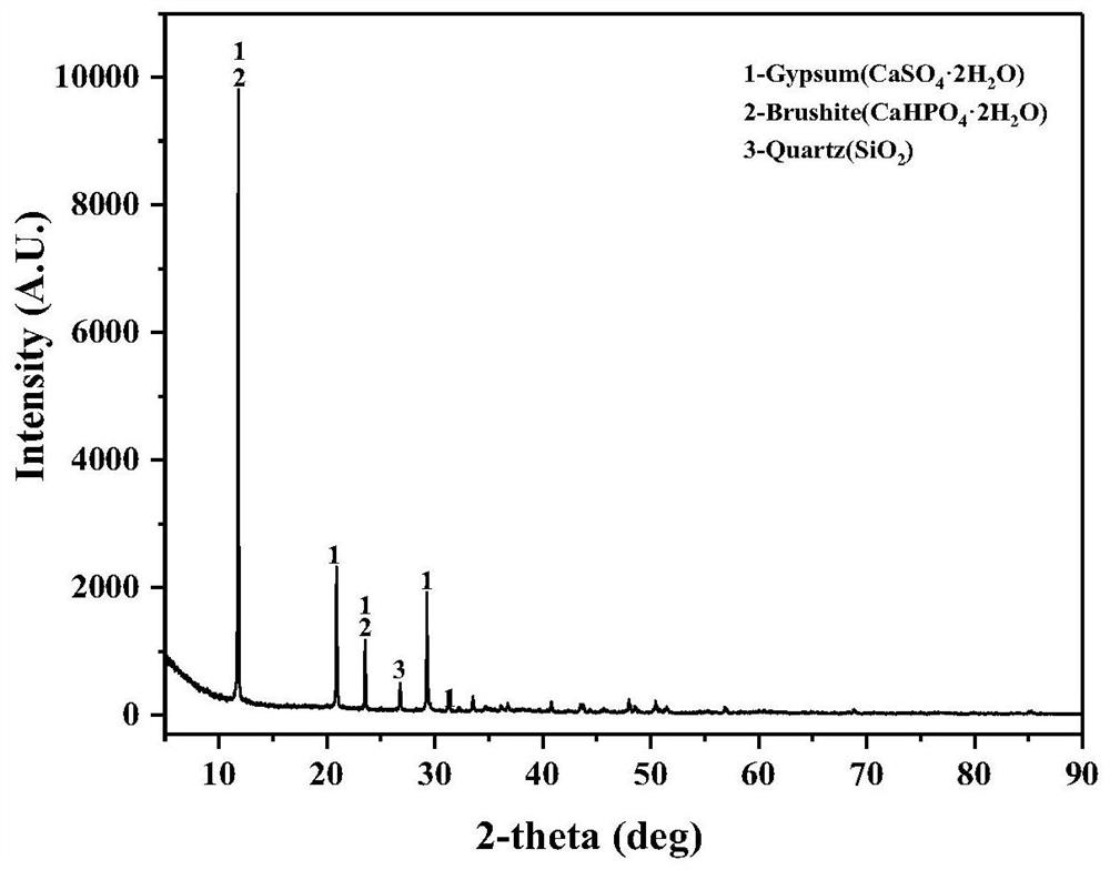 Geopolymer curing material based on manganese tailings and preparation method of geopolymer curing material