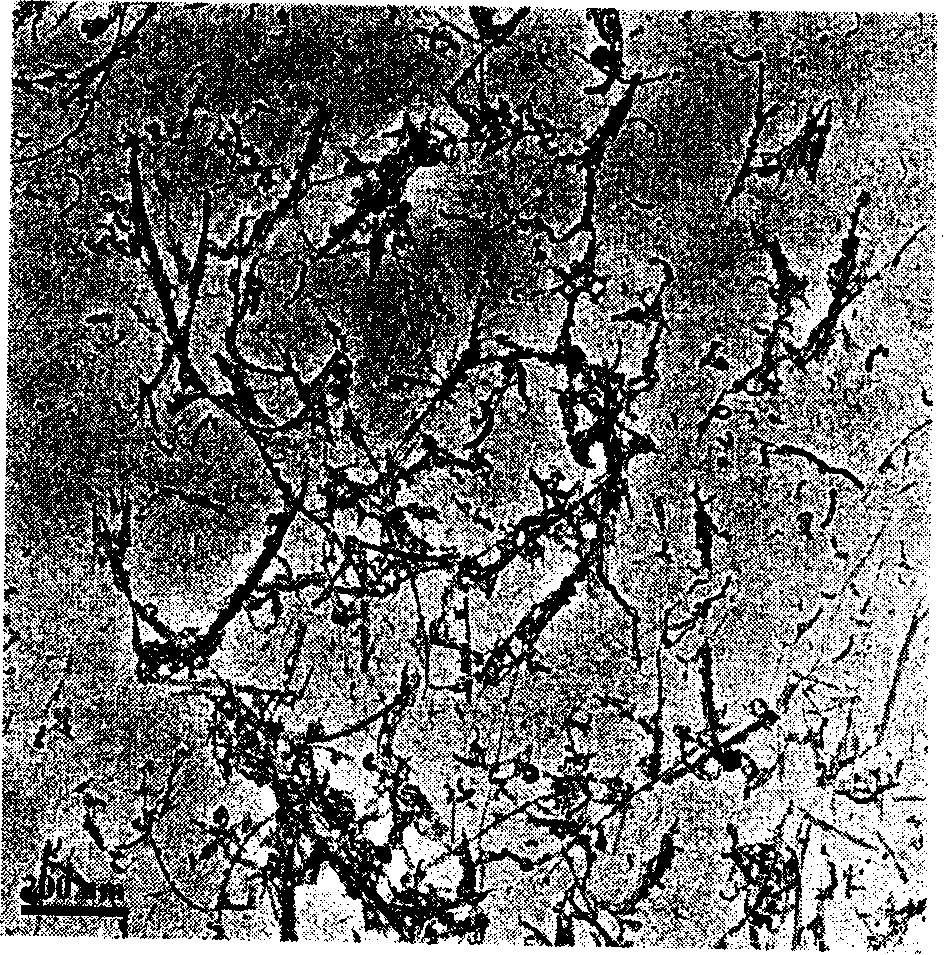 Method for manufacturing mono-layer carbon nano pipe