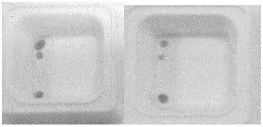 Probe identifying three aedes simultaneously on the basis of gene chip and kit