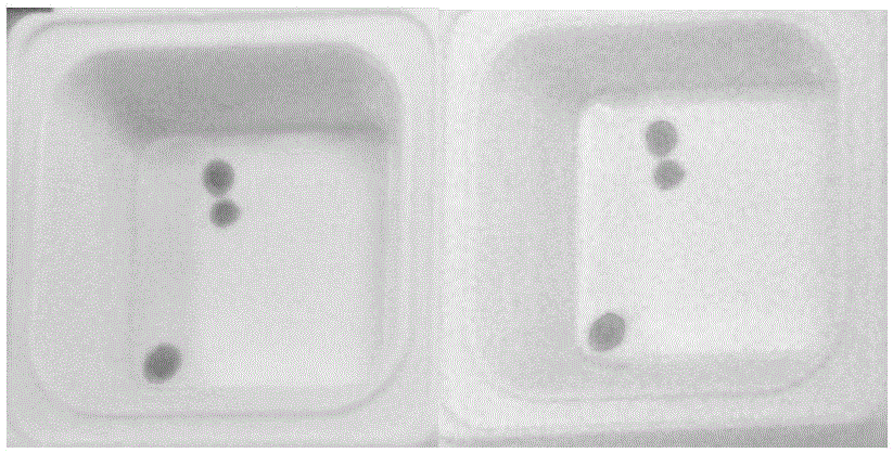 Probe identifying three aedes simultaneously on the basis of gene chip and kit