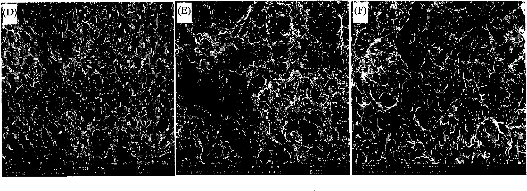 Hot-rolling transformation-induced plasticity steel plate and preparation method thereof