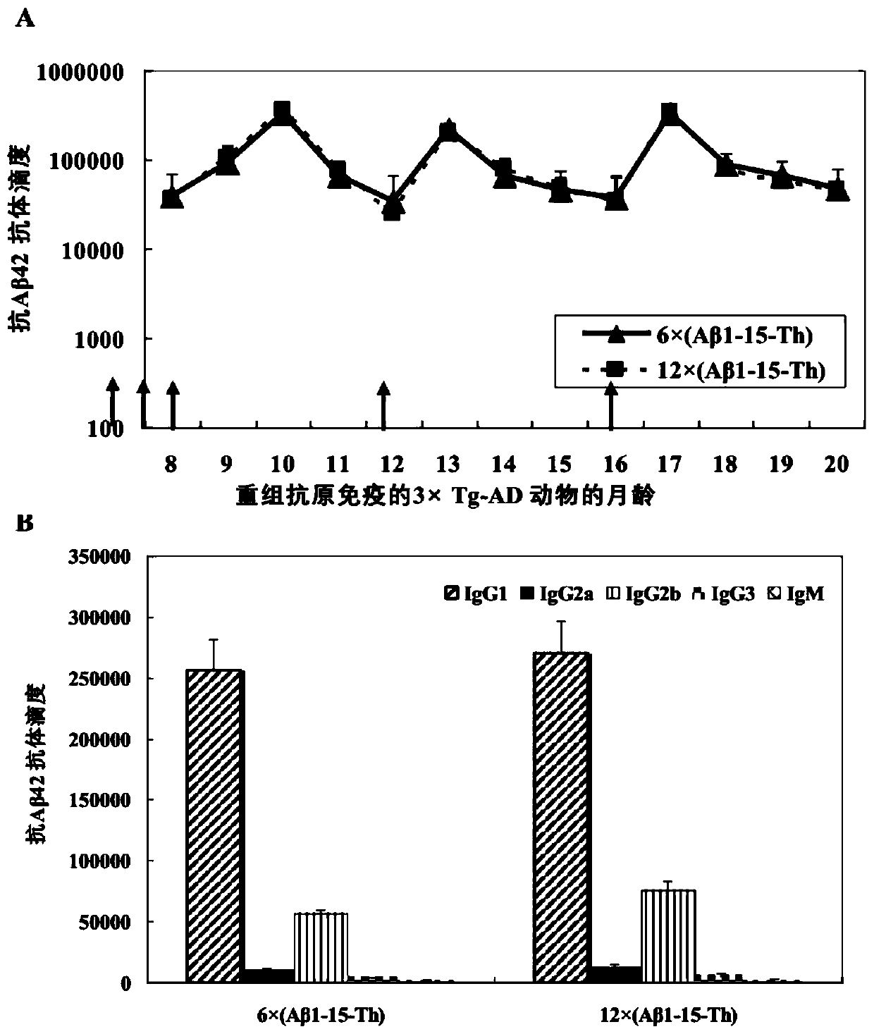 Conformation-specific recombinant A beta 1-42-like oligomer antigen as well as preparation method and application thereof