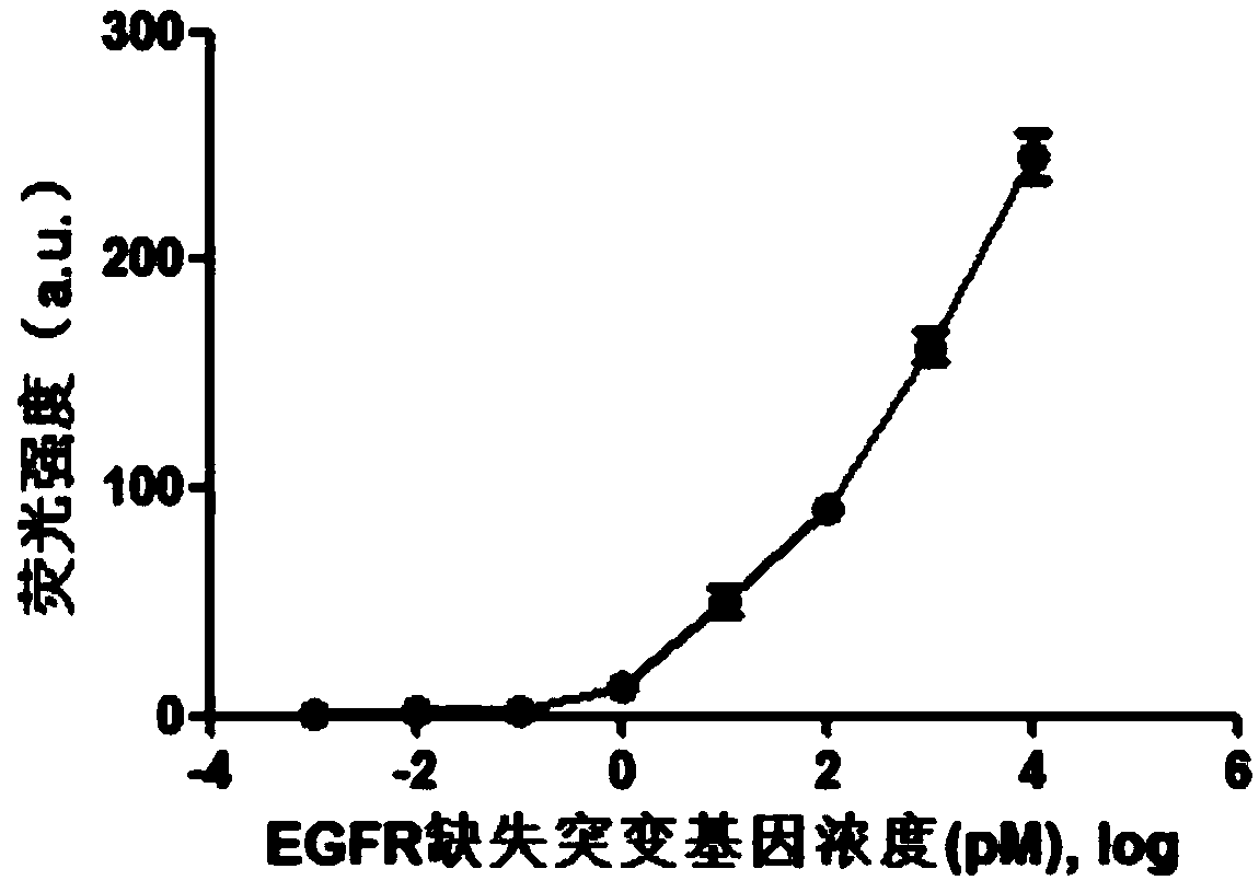 Fluorescence detection kit and fluorescence detection method for deletion mutation of gene