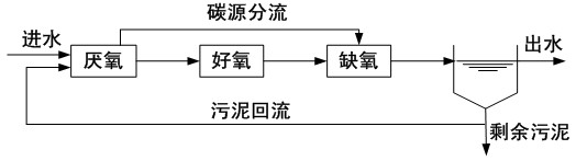 Rear denitrifying sewage treatment device and process