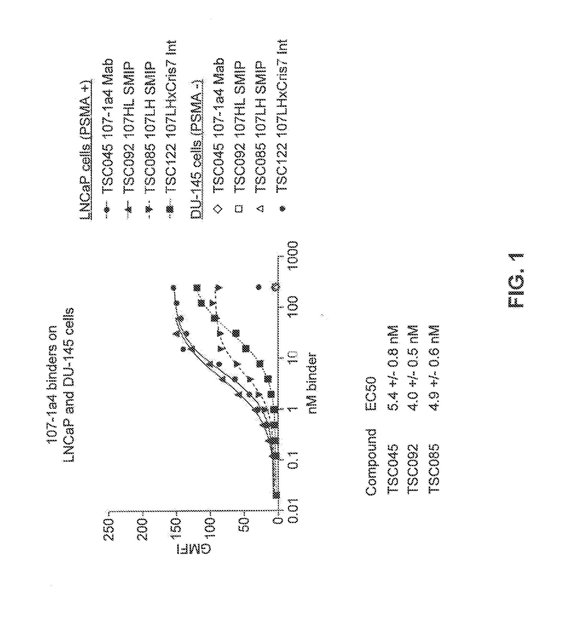 Prostate-Specific Membrane Antigen Binding Proteins and Related Compositions and Methods