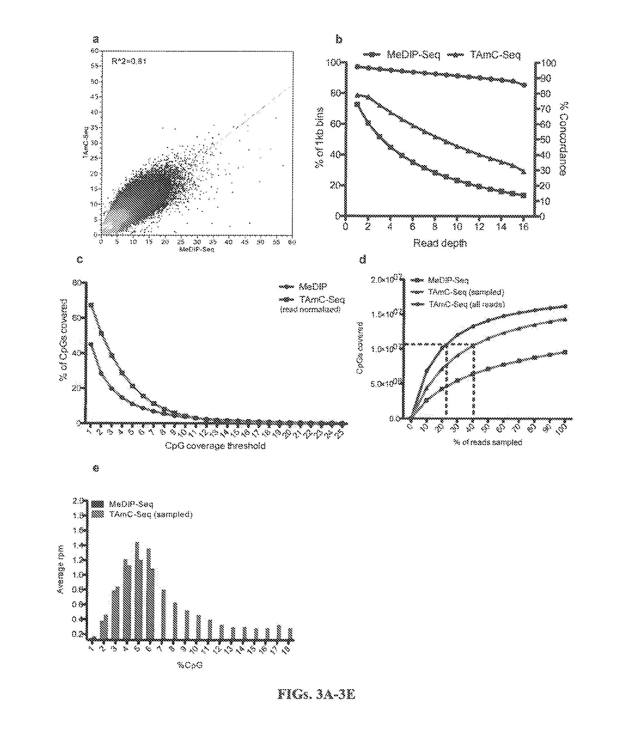 COMPOSITION AND METHODS RELATED TO MODIFICATION OF 5-METHYLCYTOSINE (5-mC)