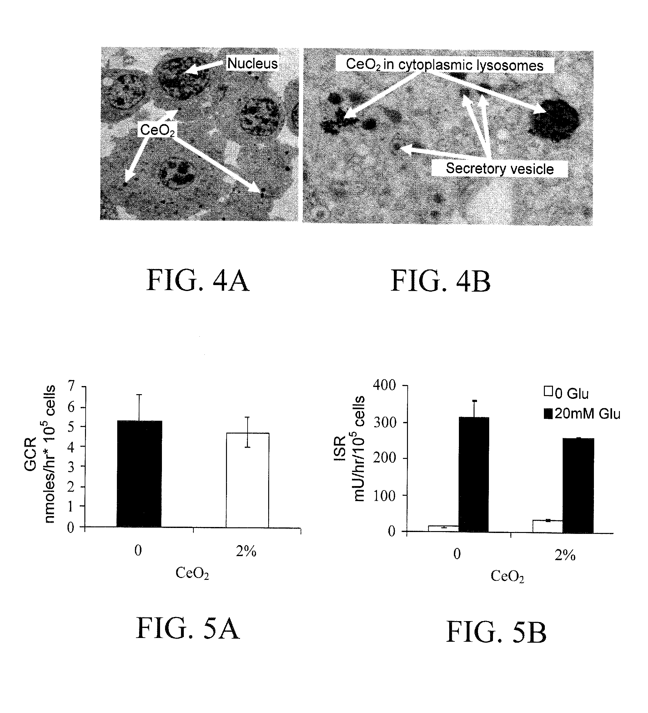 Nanoparticles for Protection of Cells from Oxidative Stress