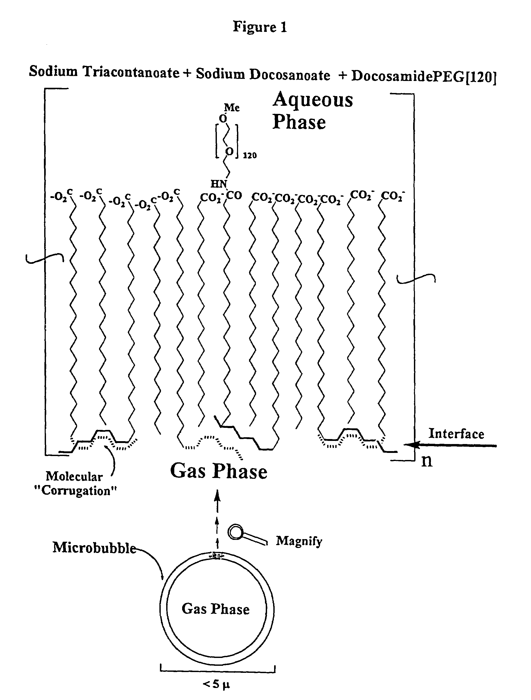 Ultrasound contrast agents