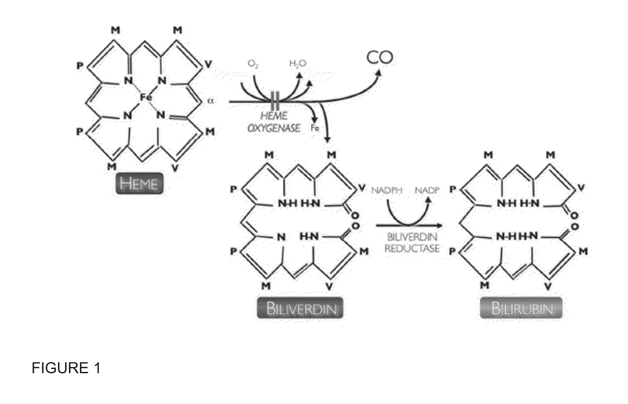 Formulations and uses for microparticle delivery of zinc protoporphyrins