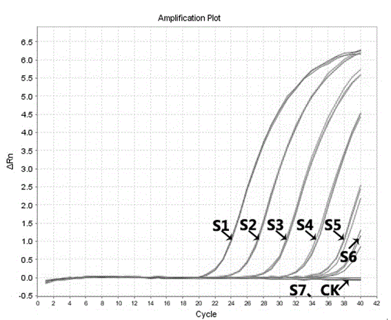 Fluorescent quantitative PCR detection kit for chlamydia trachomatis