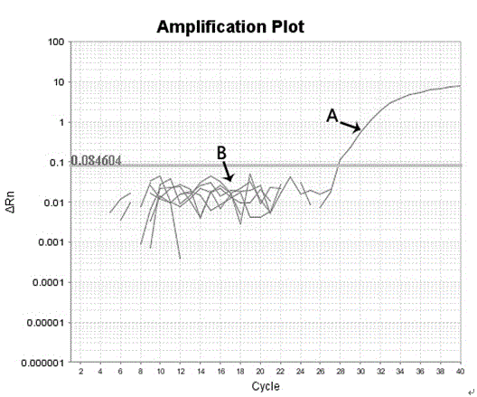 Fluorescent quantitative PCR detection kit for chlamydia trachomatis