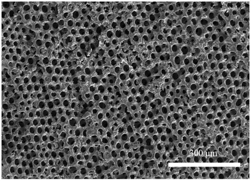 Polyvinylidene fluoride film with biomimetic three-period minimal surface structure and its preparation and application