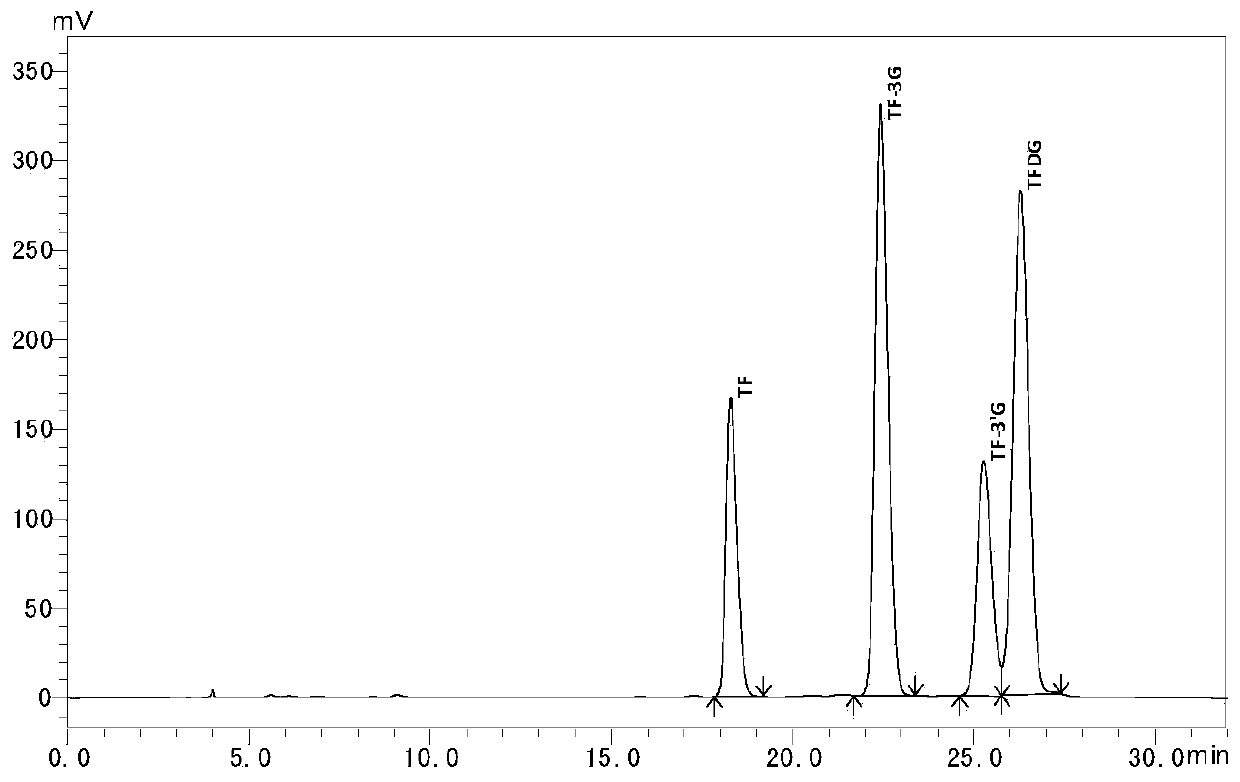 Theaflavin muscle-strengthening dietary nutritional supplement and preparation method thereof