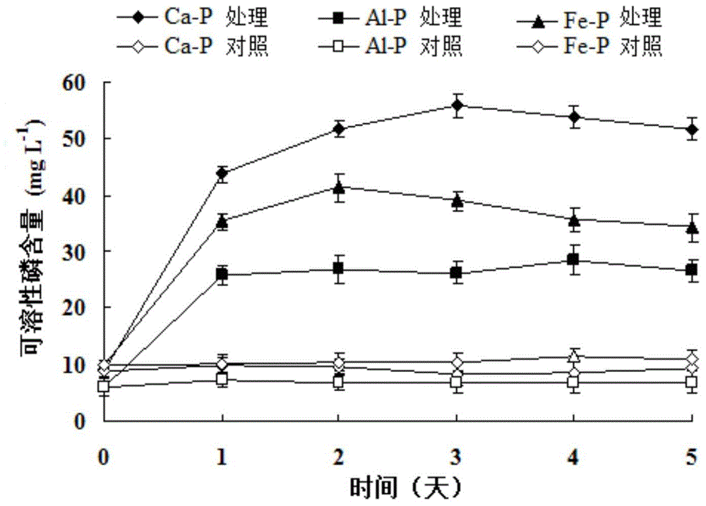 Pantoea dispersa and applications thereof