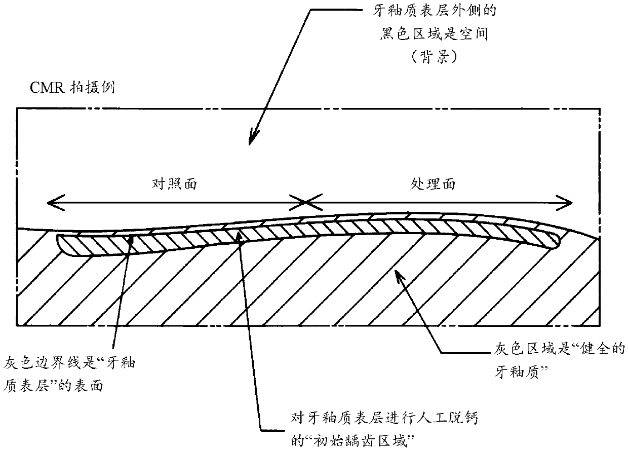 Composition for oral cavity and food product, or beverage