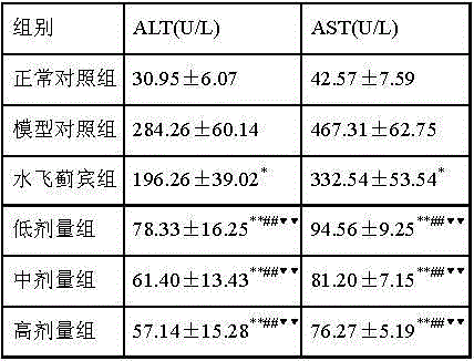 A traditional Chinese medicine composition for treating chronic alcoholic liver disease