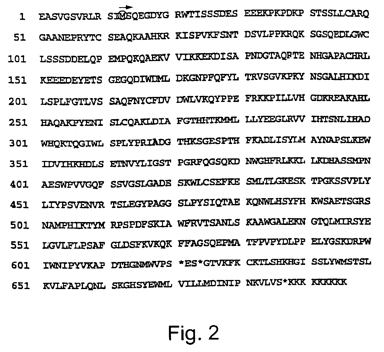 Tyrosine DNA phosphodiesterases (TDP) and related polypeptides nucleic acids vectors TDP producing host cells antibodies and methods of use