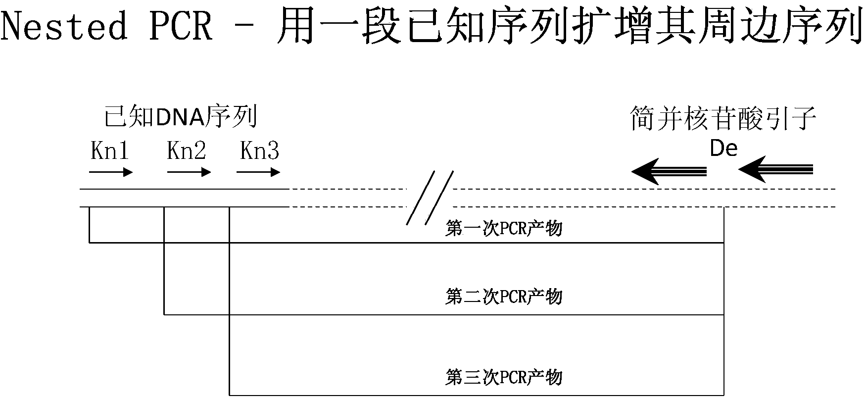 DNA (deoxyribonucleic acid) detection method for quickly distinguishing transgenic plant and product thereof