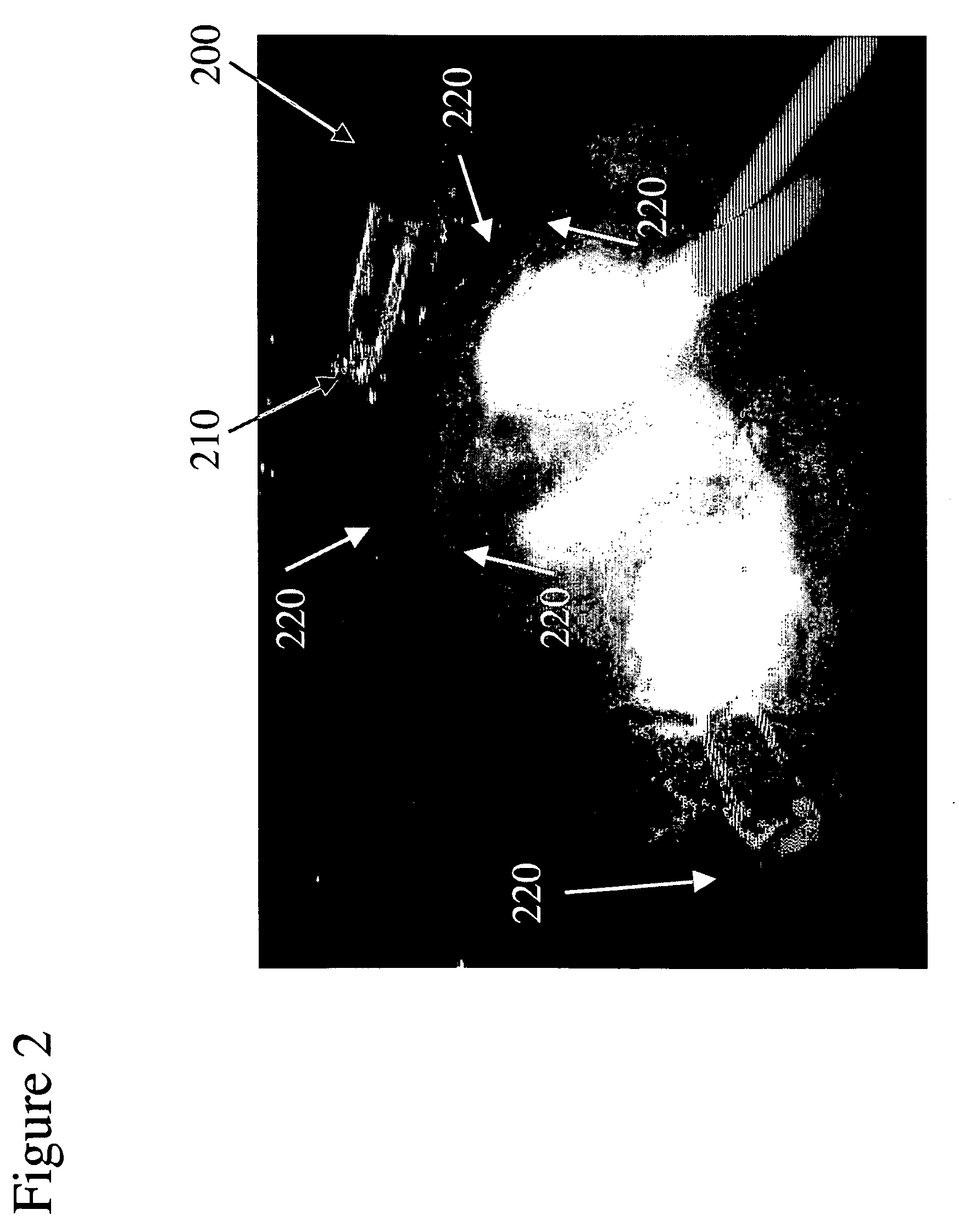 Electro-adhesive tissue manipulator