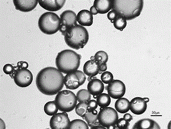 Silica aerogel microsphere composite thermal insulation coating