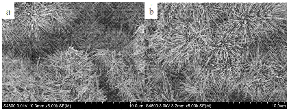 Nano zno/c composite photocatalyst and preparation method thereof