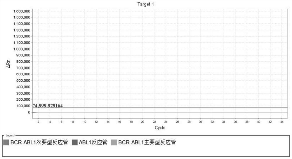 Primer, probe and kit for quantitatively detecting BCR-ABL1 fusion gene