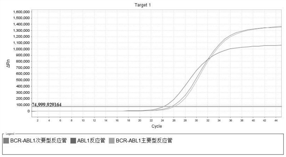 Primer, probe and kit for quantitatively detecting BCR-ABL1 fusion gene