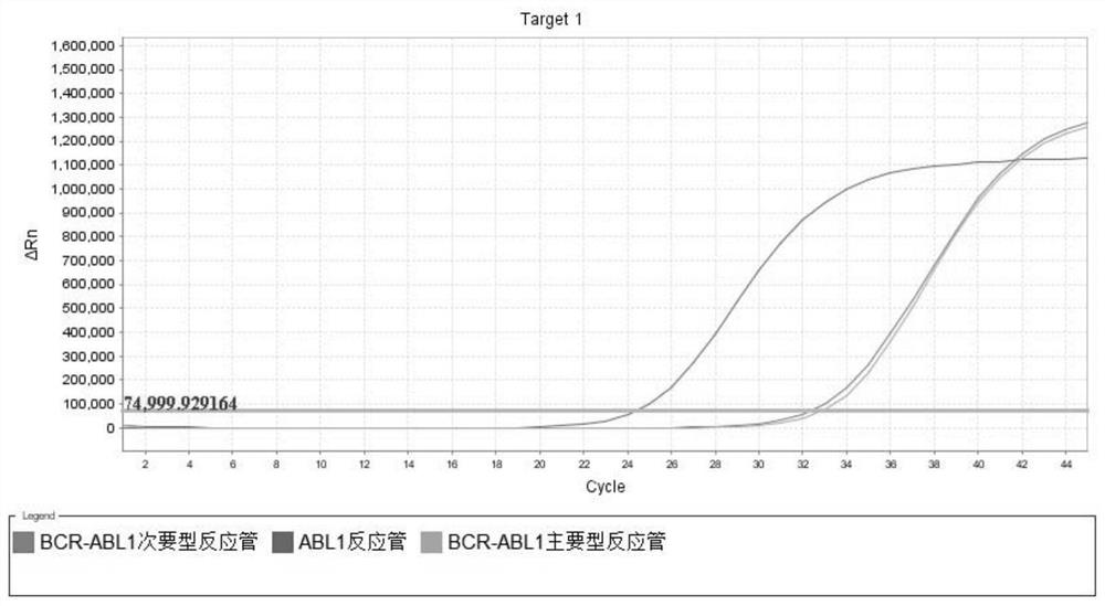 Primer, probe and kit for quantitatively detecting BCR-ABL1 fusion gene