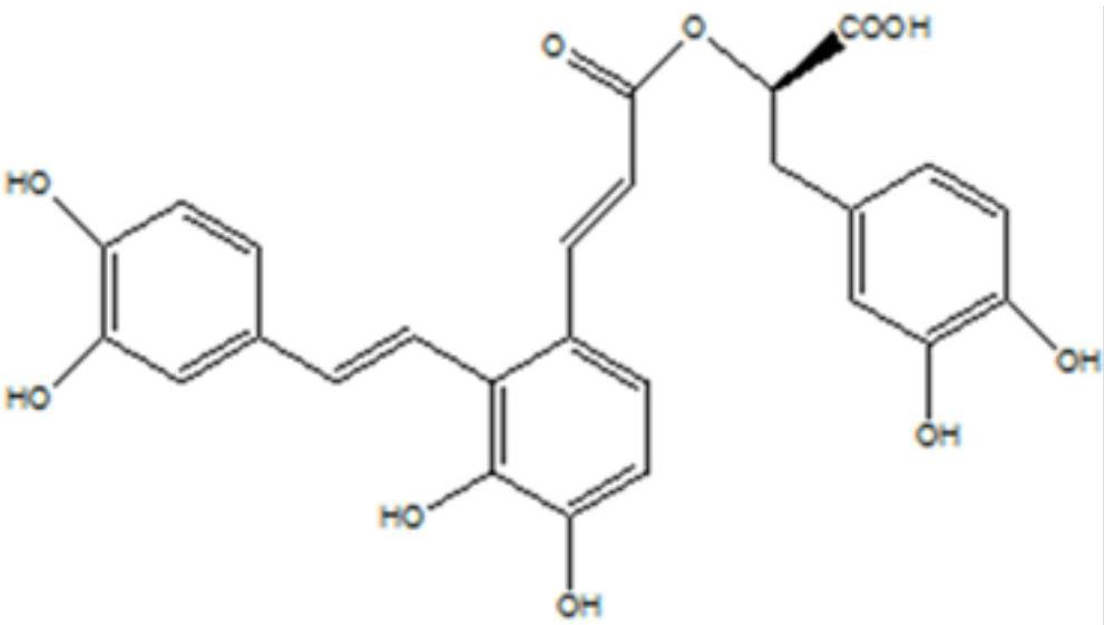 Preparation method of salvianolic acid A