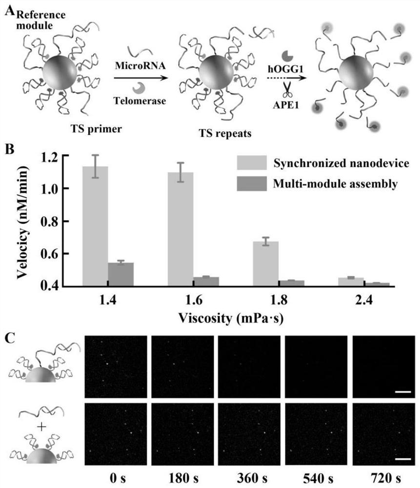 Integrated synchronized dna nanodevice and its live-cell multi-target imaging application and imaging method