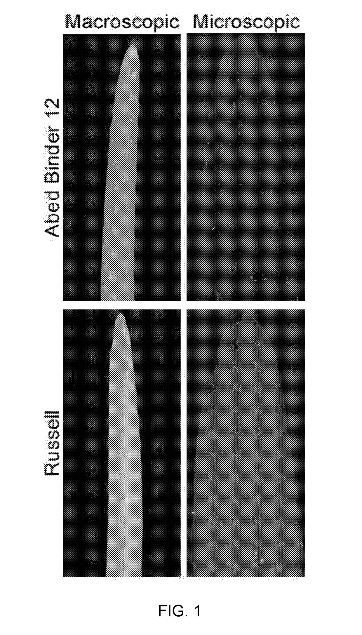 Wheat stripe rust resistance genes and methods of use