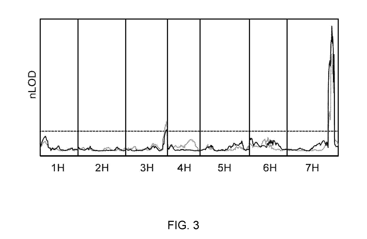 Wheat stripe rust resistance genes and methods of use