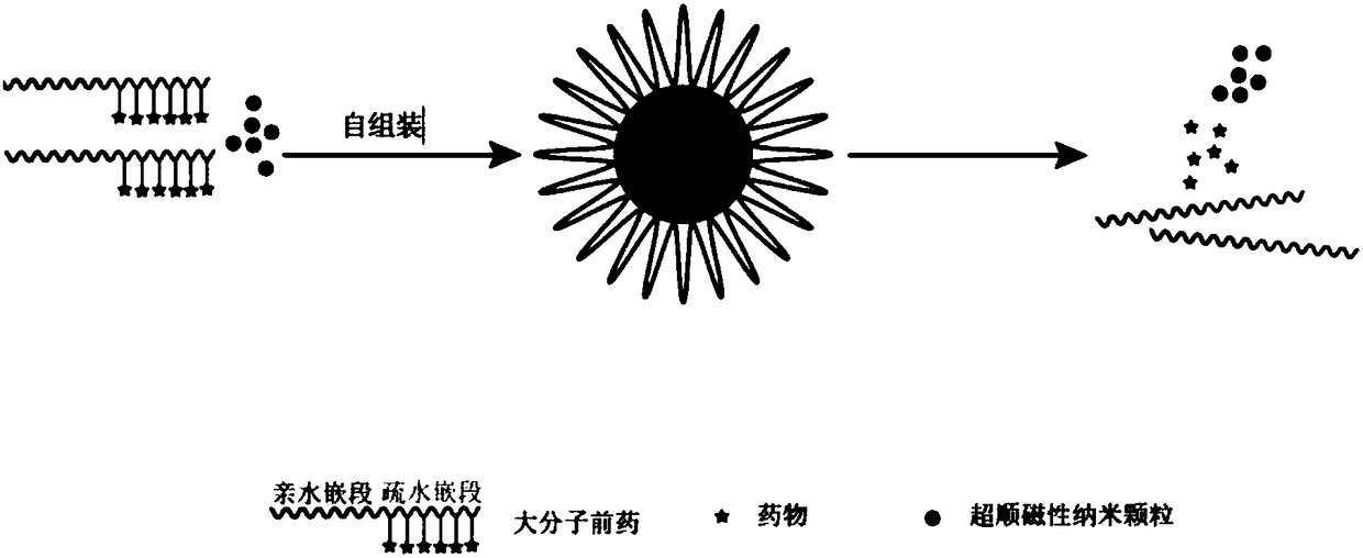 Composite prodrug nanocarrier for reversing tumor drug resistance and preparation method thereof