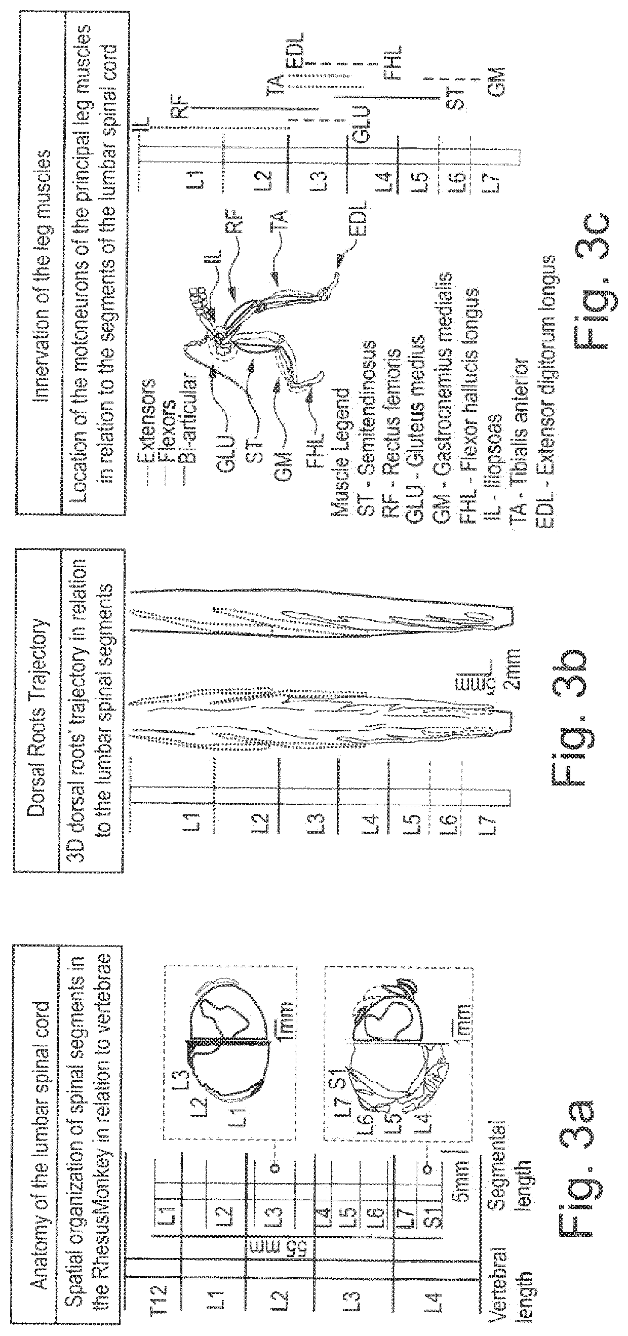 System for planning and/or providing neuromodulation, especially neurostimulation