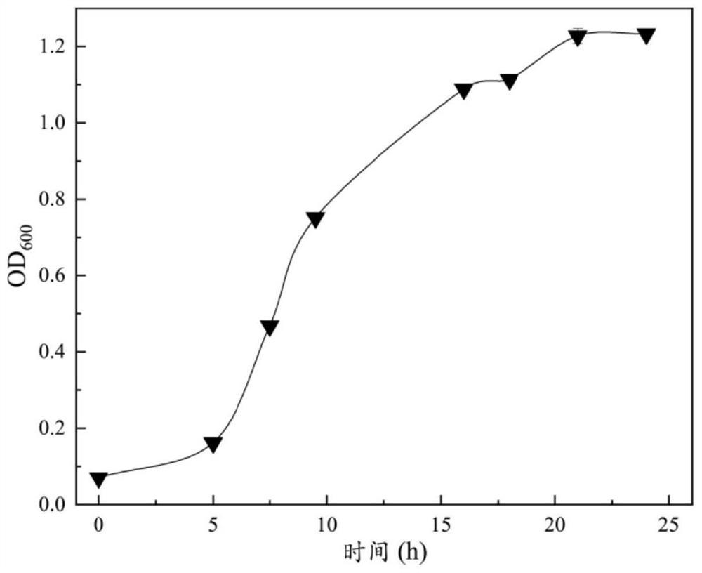 Screening and application of bacillus strain for producing cellulase